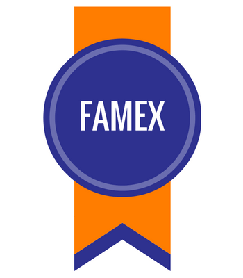 FAMEX-Drehmomentschlüssel-Hersteller-im-Vergleich
